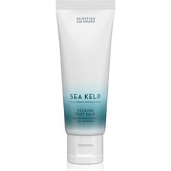 Scottish Fine Soaps Sea Kelp balsam do stóp 75 ml