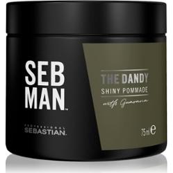 Sebastian Professional SEB MAN The Dandy pomada do włosów do naturalnego utrwalenia 75 ml