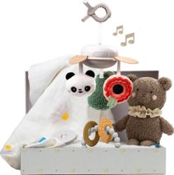 Taf Toys Luxury Newborn Kit zestaw upominkowy dla niemowląt