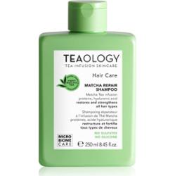 Teaology Matcha Tea Repair Shampoo szampon wzmacniający włosy 250 ml