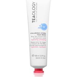 Teaology Hyaluronic Hydra Face Mask maseczka głęboko nawilżająca z kwasem hialuronowym 100 ml