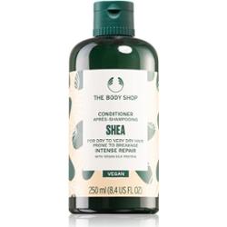 The Body Shop Shea Conditioner odżywka do włosów suchych i łamliwych 250 ml
