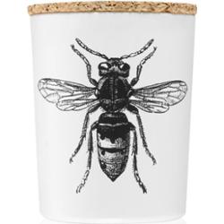 Vila Hermanos Insect Calabrone świeczka zapachowa 75 g