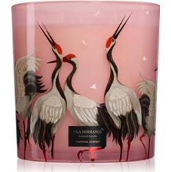 Vila Hermanos Jungletopia Tropical Garden świeczka zapachowa 1450 g