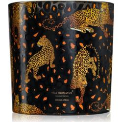 Vila Hermanos Jungletopia Savage Africa świeczka zapachowa 1450 g