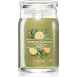 Yankee Candle Sage & Citrus świeczka zapachowa Signature 567 g
