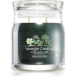 Yankee Candle Silver Sage & Pine świeczka zapachowa Signature 368 g