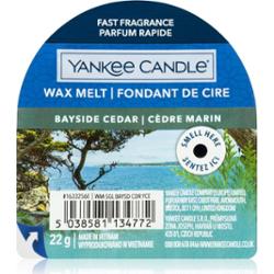 Yankee Candle Bayside Cedar wosk do aromaterapii 22 g