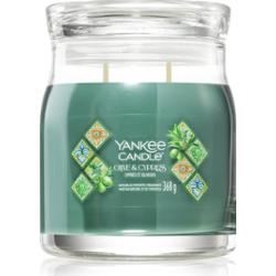 Yankee Candle Olive & Cypress świeczka zapachowa 368 g