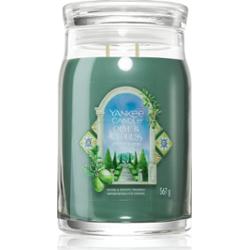 Yankee Candle Olive & Cypress świeczka zapachowa 567 g
