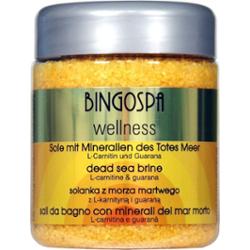 Solanka z minerałami Morza Martwego z L-karnityną i guaraną BINGOSPA wellness