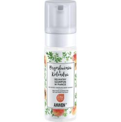 Anwen Brzoskwinia Kolendra szampon w piance 170 ml