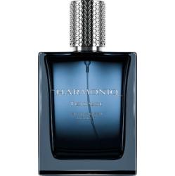 Harmoniq Men Tempest woda perfumowana 100 ml