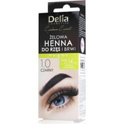 Delia Cosmetics Eyebrow Expert Żelowa henna do brwi i rzęs 1.0 czarny