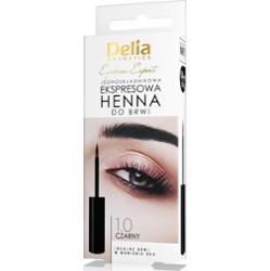 Delia Cosmetics Eyebrow Expert farbka do brwi odcień 1.0 BLACK 6 ml
