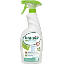 Ludwik Ekologiczny płyn do szyb i luster o zapachu zielonej herbaty jaśminu 750 ml