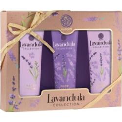 Aurora Lavandula zestaw kosmetyków 1 sztuka