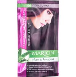 MARION Szamponetka szampon koloryzujący nr.66 DZIKA SLIWKA , 40 ml