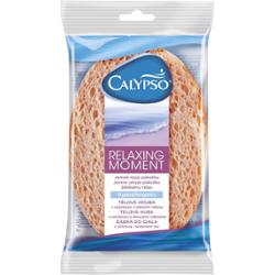 Calypso Relaxing Moment  Gabka Celulozow