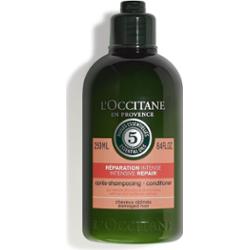 L’Occitane Intensive Repair Conditioner odżywka regenerująca do włosów suchych i zniszczonych 250 ml