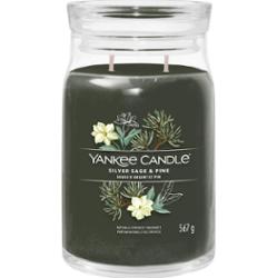 Yankee Candle Silver Sage & Pine świeczka zapachowa Signature 567 g
