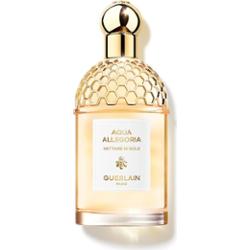 Guerlain Aqua Allegoria Nettare di Sole Woda toaletowa 125 ml Damski