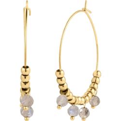 EASTSIDE Kolczyki Stal nierdzewna Żółte złoto Kolczyki koła 1 ct Damski