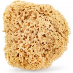 HHUUMM Naturalna gąbka 02H (brązowa) 17,5 cm HHUUMM Gąbki 1 ct