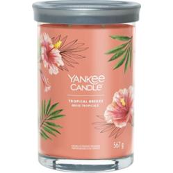 YANKEE CANDLE TROPICAL BREEZE Świeczki 567 g