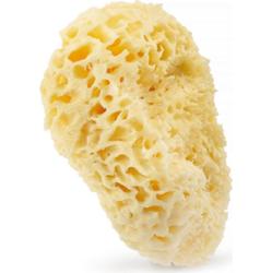 HHUUMM Naturalna gąbka 01H ( zółta) 17,5 cm HHUUMM Gąbki 1 ct