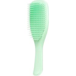 Tangle Teezer The Original FINE & FRAGILE WET DETANGLER HAIRBRUSH MINT Detangler 1 ct