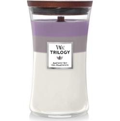 WoodWick Trilogy Amethyst Sky Świeczki 623 g