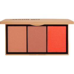 Jason Wu Blush Trio Róż do policzków 14,4 g Babe From St. Tropez