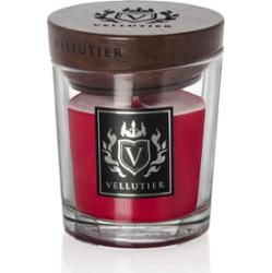 Vellutier Into the wild Świeczki 90 g