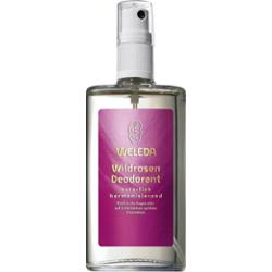 Weleda Dezodorant z dziką różą Dezodoranty 100 ml Damski