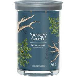 YANKEE CANDLE BAYSIDE CEDAR Świeczki 567 g