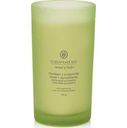Chesapeake Bay AWAKEN & INVIGORATE (LEMONGRASS EUCALYPTUS) ŚWIECA DUŻA Z 3 KNOTAMI Świeczki 355 g