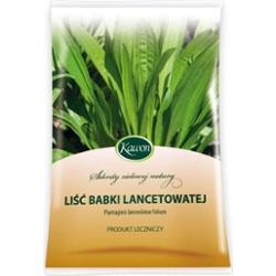 LIŚĆ Babki lancetowatej 50g
