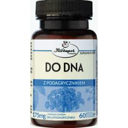 Do Dna z Podagrycznikiem x 60 kapsułek