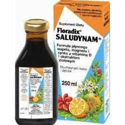 Floradix Saludynam 250ml
