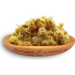 Kwiatostan Kocanek 20g