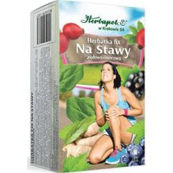 HERBATKA NA STAWY fix 2g x 20 saszetek
