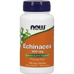 Echinacea 400mg x 100 kapsułek