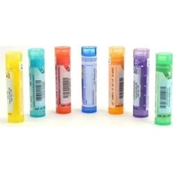 BOIRON Hamamelis virginiana 5CH 4g