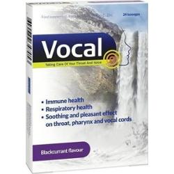 VOCAL Czarna porzeczka x 24 pastylki do ssania