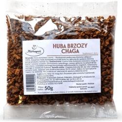 Huba brzozy chaga 50g