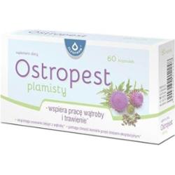 Ostropest plamisty x 60 kapsułek
