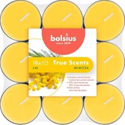 Bolsius True Scents Mimoza podgrzewacz zapachowy 4 godzinny 18 sztuk