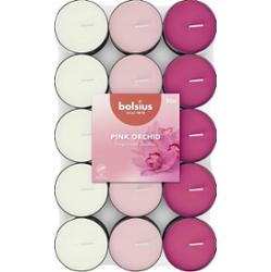 Bolsius Multi Coloured Orchidea zapachowy podgrzewacz 3,5 godzinny 30 sztuk