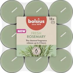 Bolsius True Scents Rozmaryn podgrzewacz zapachowy 4 godzinny 18 sztuk